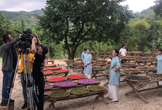 广州花都区宣传片拍摄花絮
